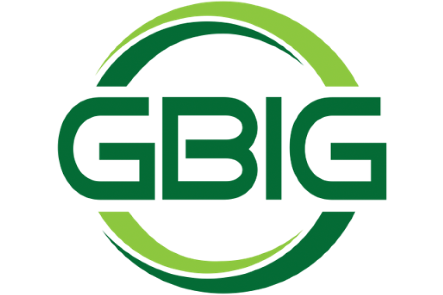 Gbig logo wide